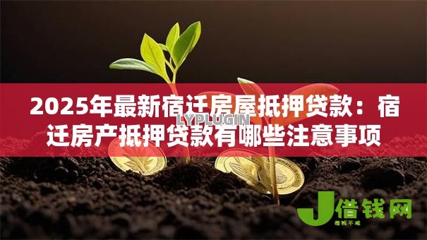 2025年最新宿迁房屋抵押贷款:宿迁房产抵押贷款有哪些注意事项 2025年最新宿迁房屋抵押贷款:宿迁房产抵押贷款有哪些注意事项