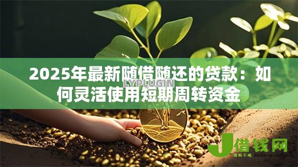2025年最新随借随还的贷款：如何灵活使用短期周转资金
