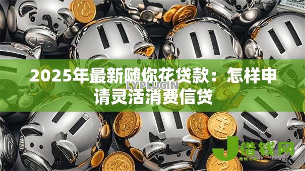 2025年最新随你花贷款：怎样申请灵活消费信贷