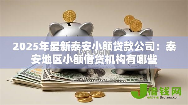 2025年最新泰安小额贷款公司：泰安地区小额借贷机构有哪些