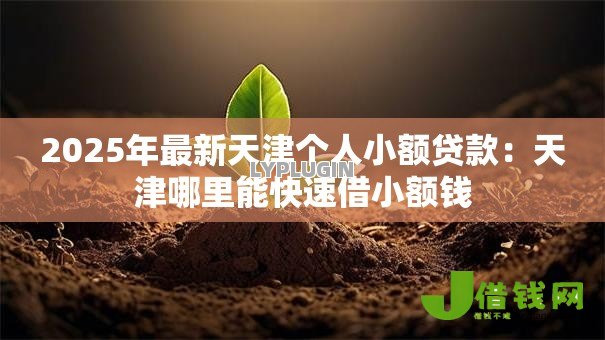 2025年最新天津个人小额贷款:天津哪里能快速借小额钱 2025年最新天津个人小额贷款:天津哪里能快速借小额钱