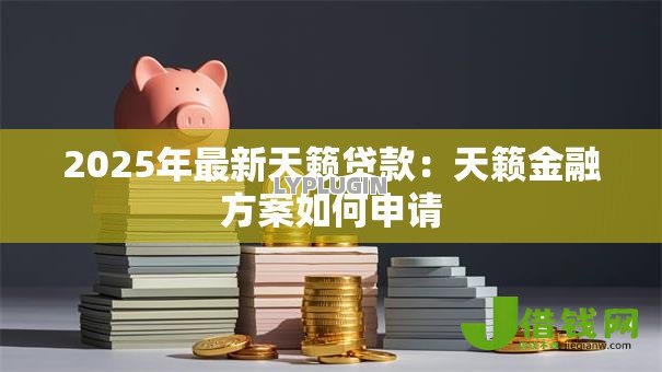 2025年最新天籁贷款：天籁金融方案如何申请