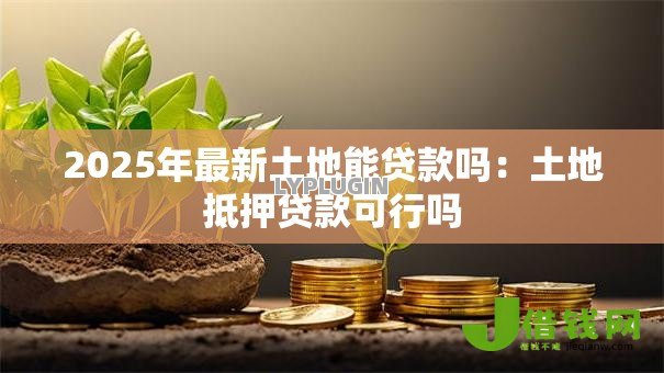 2025年最新土地能贷款吗:土地抵押贷款可行吗 2025年最新土地能贷款吗:土地抵押贷款可行吗
