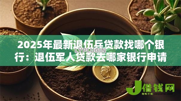 2025年最新退伍兵贷款找哪个银行：退伍军人贷款去哪家银行申请