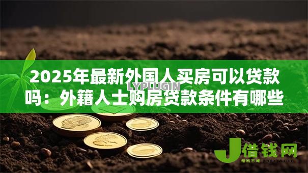 2025年最新外国人买房可以贷款吗:外籍人士购房贷款条件有哪些 2025年最新外国人买房可以贷款吗:外籍人士购房贷款条件有哪些