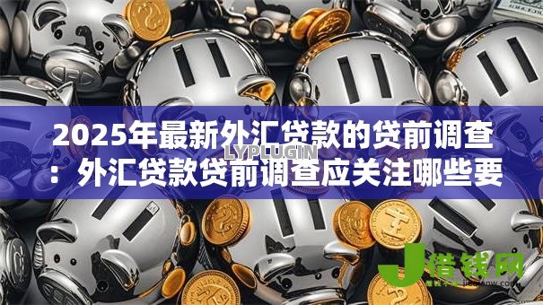 2025年最新外汇贷款的贷前调查：外汇贷款贷前调查应关注哪些要点