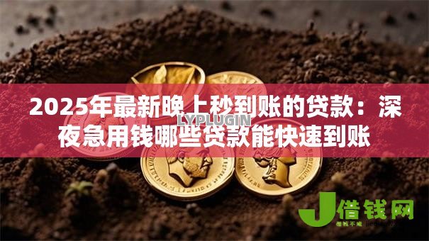 2025年最新晚上秒到账的贷款：深夜急用钱哪些贷款能快速到账