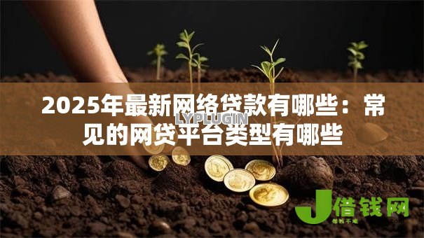 2025年最新网络贷款有哪些:常见的网贷平台类型有哪些 2025年最新网络贷款有哪些:常见的网贷平台类型有哪些