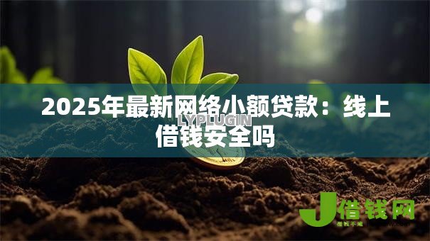 2025年最新网络小额贷款:线上借钱安全吗 2025年最新网络小额贷款:线上借钱安全吗