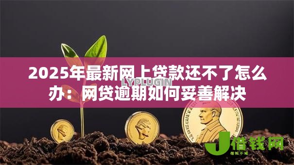 2025年最新网上贷款还不了怎么办:网贷逾期如何妥善解决 2025年最新网上贷款还不了怎么办:网贷逾期如何妥善解决
