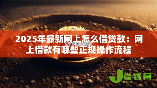 2025年最新网上怎么借贷款：网上借款有哪些正规操作流程