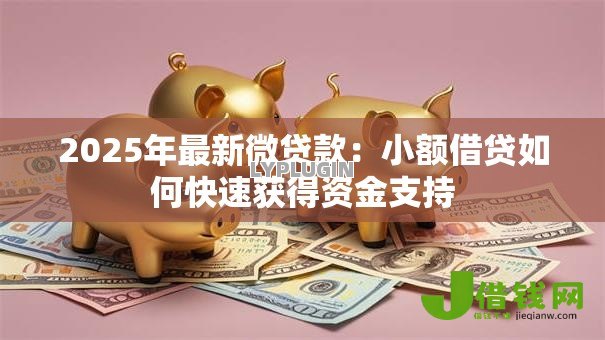 2025年最新微贷款:小额借贷如何快速获得资金支持 2025年最新微贷款:小额借贷如何快速获得资金支持