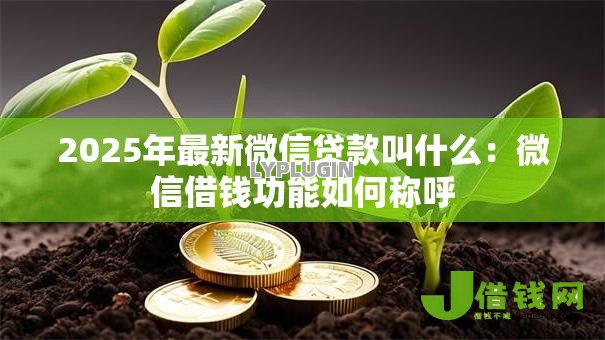 2025年最新微信贷款叫什么:微信借钱功能如何称呼 2025年最新微信贷款叫什么:微信借钱功能如何称呼