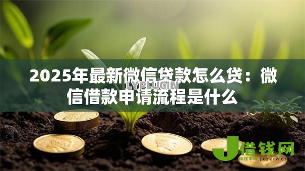 2025年最新微信贷款怎么贷:微信借款申请流程是什么 2025年最新微信贷款怎么贷:微信借款申请流程是什么