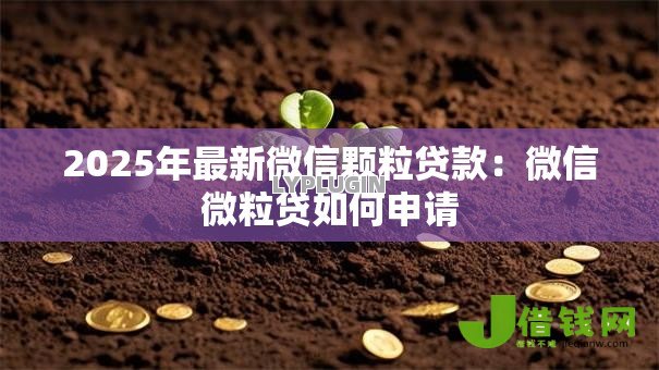 2025年最新微信颗粒贷款:微信微粒贷如何申请 2025年最新微信颗粒贷款:微信微粒贷如何申请