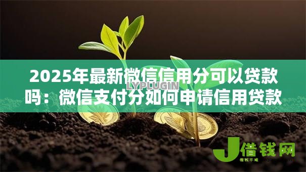 2025年最新微信信用分可以贷款吗：微信支付分如何申请信用贷款