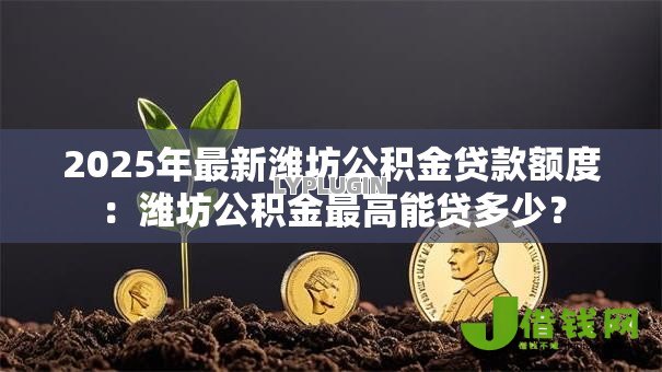 2025年最新潍坊公积金贷款额度:潍坊公积金最高能贷多少? 2025年最新潍坊公积金贷款额度:潍坊公积金最高能贷多少?