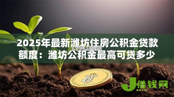2025年最新潍坊住房公积金贷款额度:潍坊公积金最高可贷多少万? 2025年最新潍坊住房公积金贷款额度:潍坊公积金最高可贷多少万?