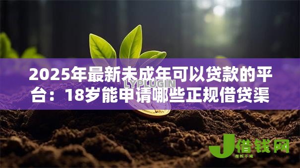 2025年最新未成年可以贷款的平台:18岁能申请哪些正规借贷渠道 2025年最新未成年可以贷款的平台:18岁能申请哪些正规借贷渠道
