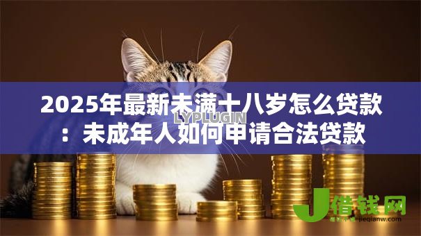 2025年最新未满十八岁怎么贷款:未成年人如何申请合法贷款 2025年最新未满十八岁怎么贷款:未成年人如何申请合法贷款