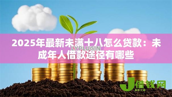 2025年最新未满十八怎么贷款：未成年人借款途径有哪些