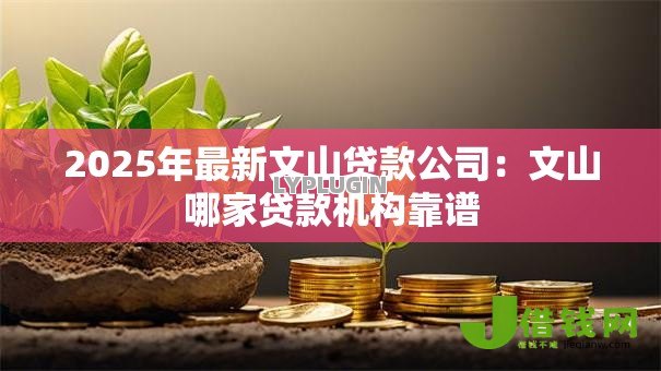 2025年最新文山贷款公司:文山哪家贷款机构靠谱 2025年最新文山贷款公司:文山哪家贷款机构靠谱