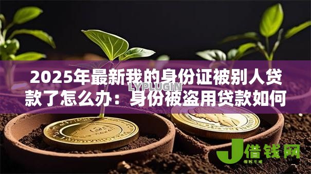 2025年最新我的身份证被别人贷款了怎么办:身份被盗用贷款如何处理 2025年最新我的身份证被别人贷款了怎么办:身份被盗用贷款如何处理