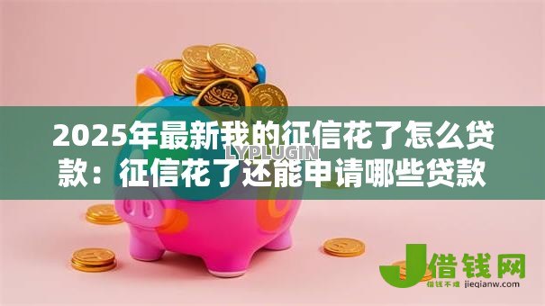 2025年最新我的征信花了怎么贷款：征信花了还能申请哪些贷款
