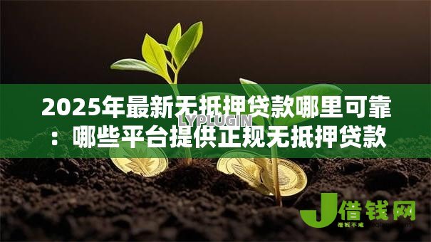 2025年最新无抵押贷款哪里可靠:哪些平台提供正规无抵押贷款 2025年最新无抵押贷款哪里可靠:哪些平台提供正规无抵押贷款
