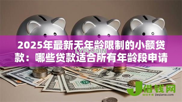 2025年最新无年龄限制的小额贷款:哪些贷款适合所有年龄段申请 2025年最新无年龄限制的小额贷款:哪些贷款适合所有年龄段申请