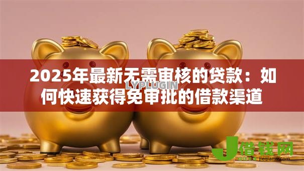 2025年最新无需审核的贷款:如何快速获得免审批的借款渠道 2025年最新无需审核的贷款:如何快速获得免审批的借款渠道