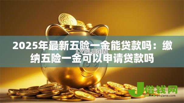 2025年最新五险一金能贷款吗:缴纳五险一金可以申请贷款吗 2025年最新五险一金能贷款吗:缴纳五险一金可以申请贷款吗