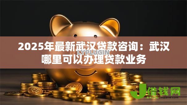 2025年最新武汉贷款咨询:武汉哪里可以办理贷款业务 2025年最新武汉贷款咨询:武汉哪里可以办理贷款业务