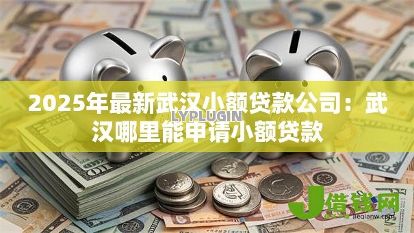 2025年最新武汉小额贷款公司:武汉哪里能申请小额贷款 2025年最新武汉小额贷款公司:武汉哪里能申请小额贷款