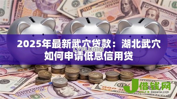 2025年最新武穴贷款:湖北武穴如何申请低息信用贷 2025年最新武穴贷款:湖北武穴如何申请低息信用贷
