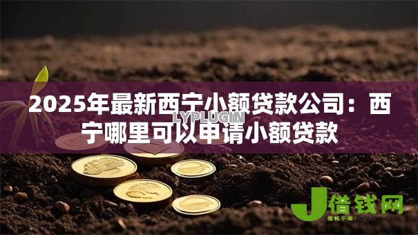 2025年最新西宁小额贷款公司：西宁哪里可以申请小额贷款