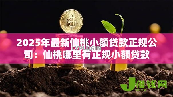 2025年最新仙桃小额贷款正规公司：仙桃哪里有正规小额贷款