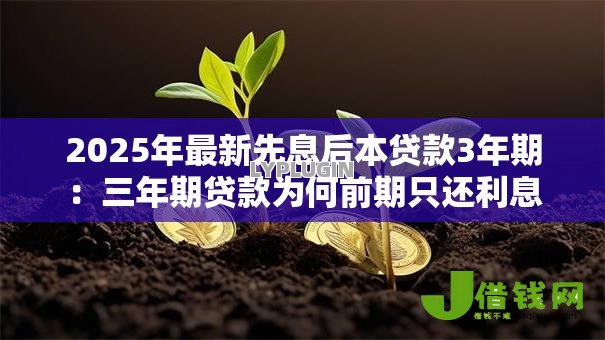 2025年最新先息后本贷款3年期:三年期贷款为何前期只还利息 2025年最新先息后本贷款3年期:三年期贷款为何前期只还利息