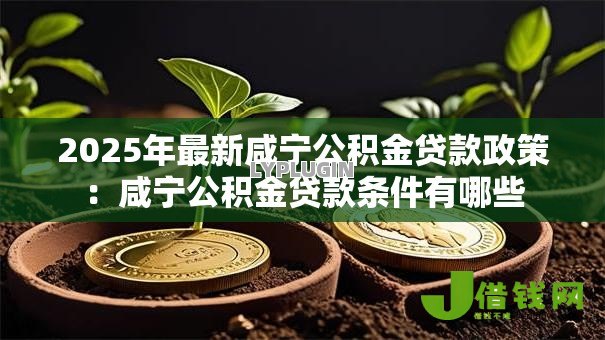 2025年最新咸宁公积金贷款政策:咸宁公积金贷款条件有哪些 2025年最新咸宁公积金贷款政策:咸宁公积金贷款条件有哪些