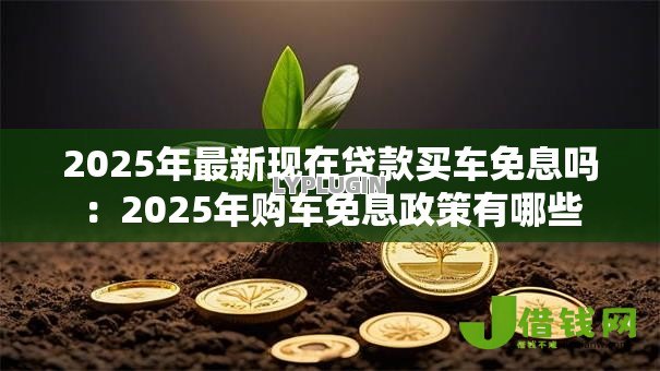 2025年最新现在贷款买车免息吗:2025年购车免息政策有哪些 2025年最新现在贷款买车免息吗:2025年购车免息政策有哪些
