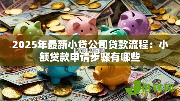 2025年最新小贷公司贷款流程:小额贷款申请步骤有哪些 2025年最新小贷公司贷款流程:小额贷款申请步骤有哪些