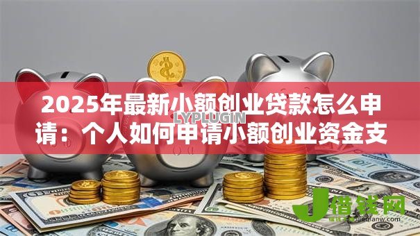 2025年最新小额创业贷款怎么申请:个人如何申请小额创业资金支持 2025年最新小额创业贷款怎么申请:个人如何申请小额创业资金支持