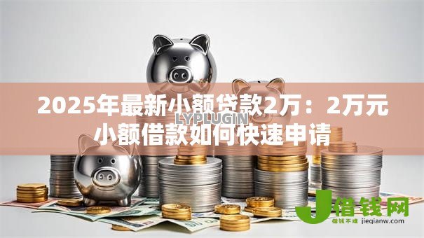 2025年最新小额贷款2万：2万元小额借款如何快速申请