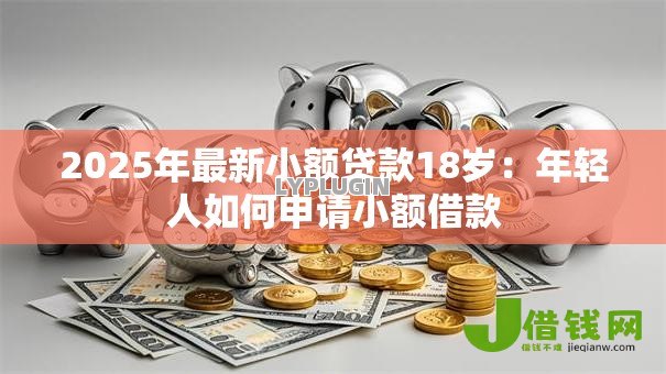 2025年最新小额贷款18岁：年轻人如何申请小额借款