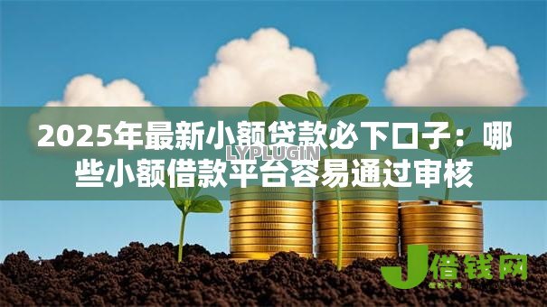 2025年最新小额贷款必下口子：哪些小额借款平台容易通过审核