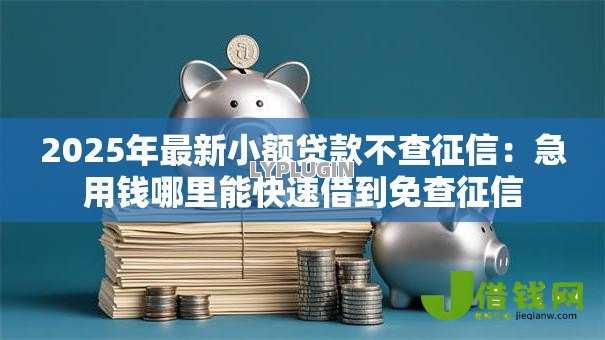 2025年最新小额贷款不查征信:急用钱哪里能快速借到免查征信 2025年最新小额贷款不查征信:急用钱哪里能快速借到免查征信