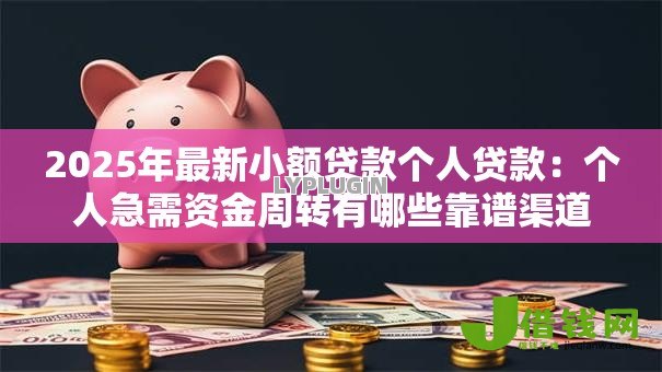2025年最新小额贷款个人贷款：个人急需资金周转有哪些靠谱渠道