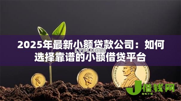 2025年最新小额贷款公司：如何选择靠谱的小额借贷平台
