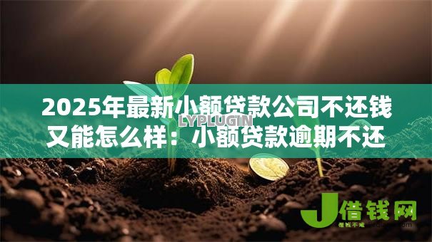 2025年最新小额贷款公司不还钱又能怎么样：小额贷款逾期不还会面临什么后果