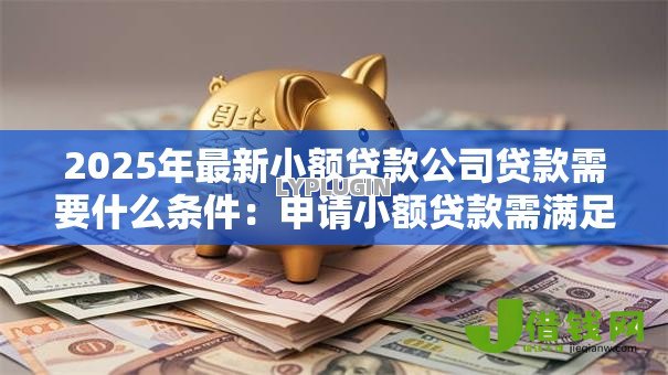 2025年最新小额贷款公司贷款需要什么条件：申请小额贷款需满足哪些资质
